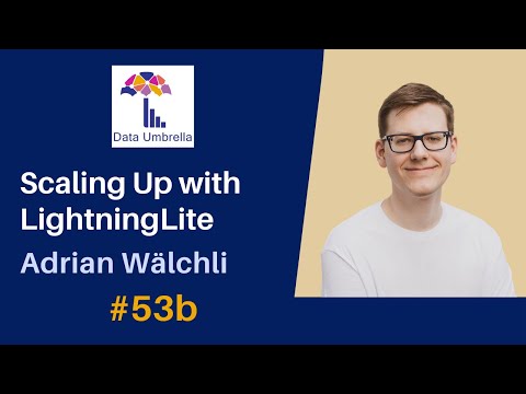 Scaling Up with LightningLite (Adrian Wälchli)