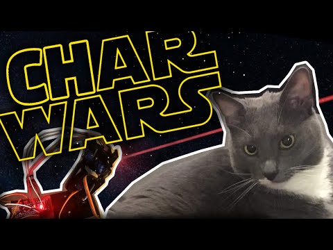 Laser Cat Video