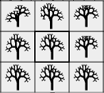 3x3 Monochrome Biomorphs Breeding Grid