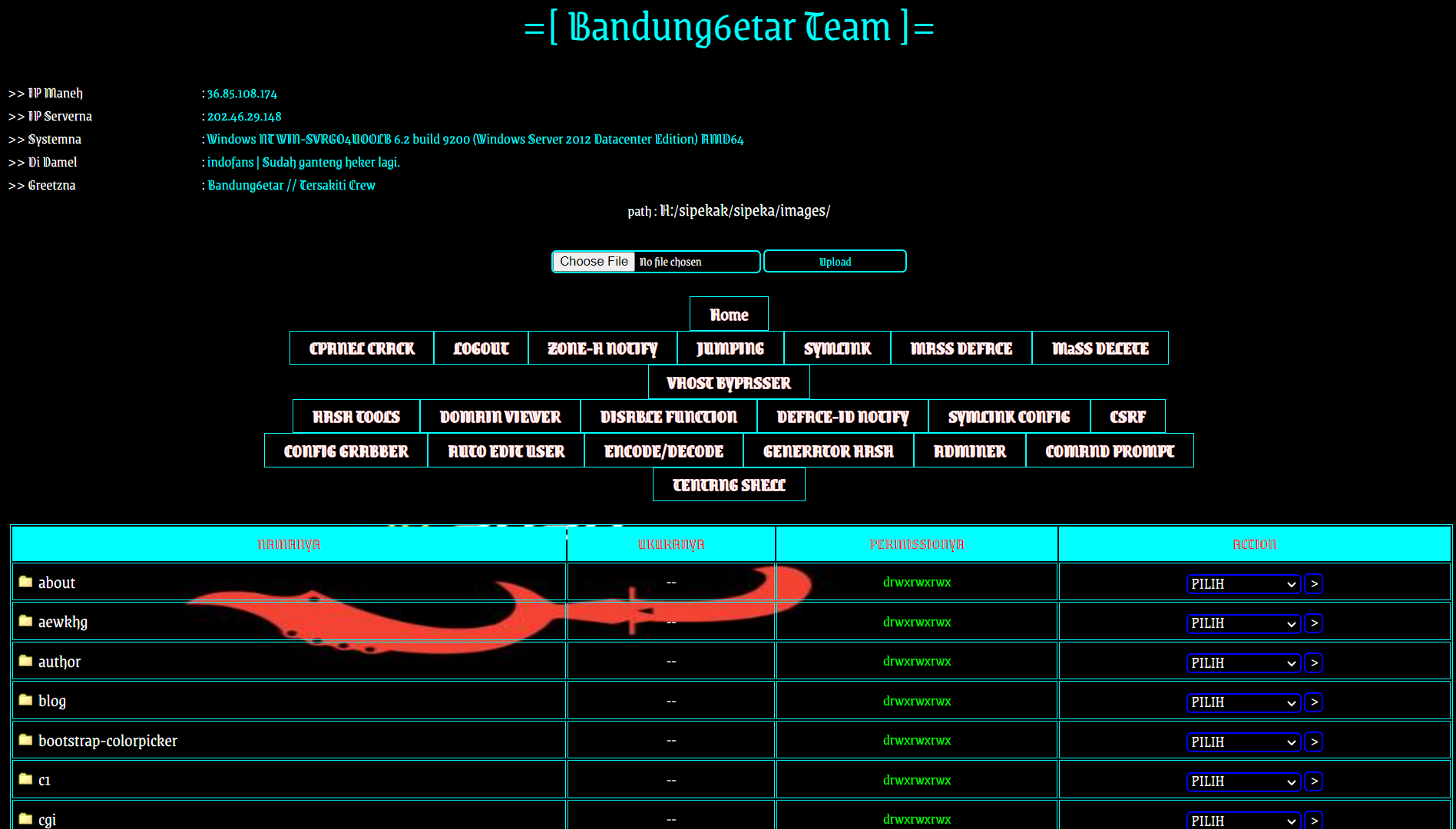 beruangsalju profile