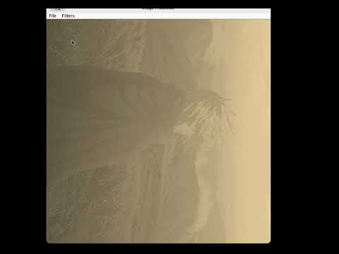 Image Processor Demo
