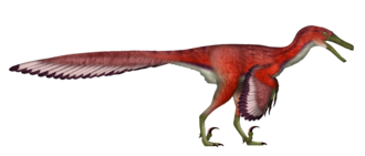 Diuqin