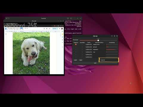 Tutorial: Hailo CLIP Zero Shot Classification Application