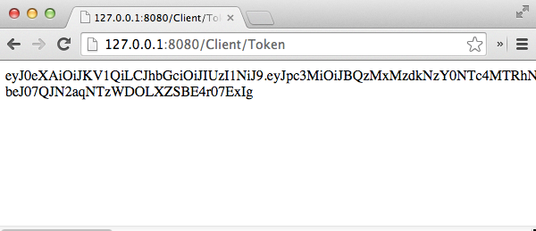 Capability Token loaded in the browser