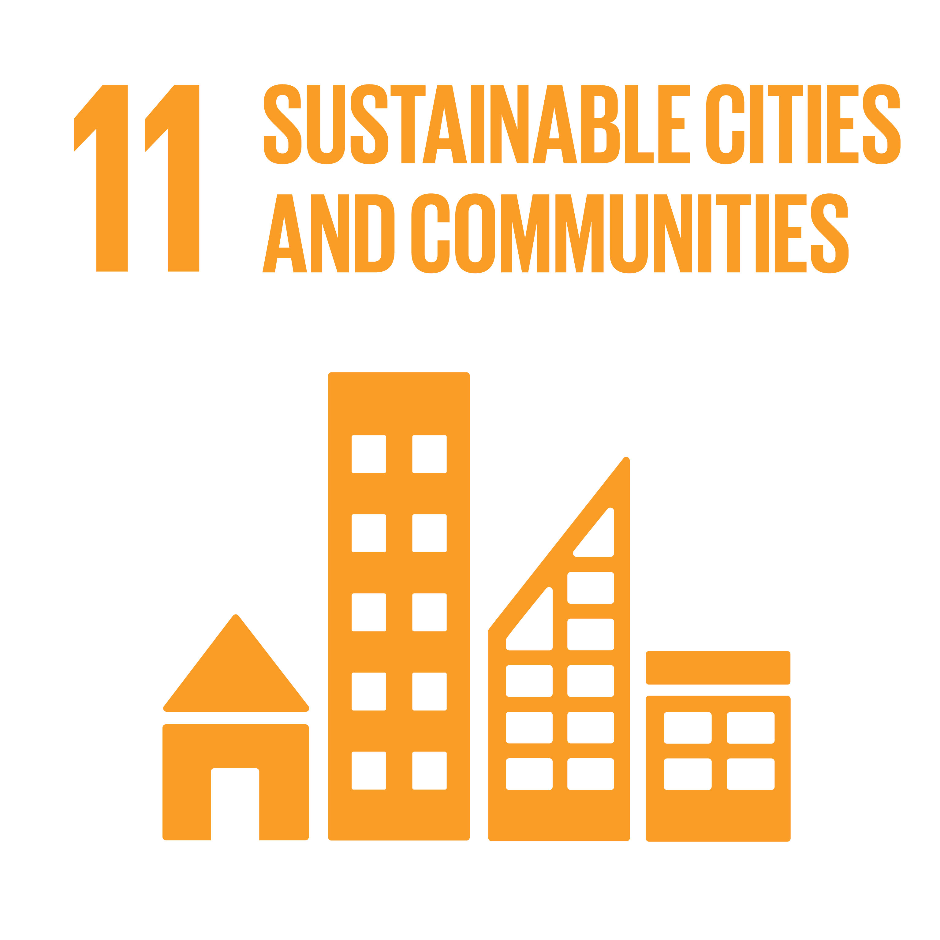 SDG 11