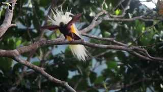 EPROM - VOGEL  unofficial video  HALFLIFE - RWINA RECORDS 2013