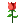 Rose.png