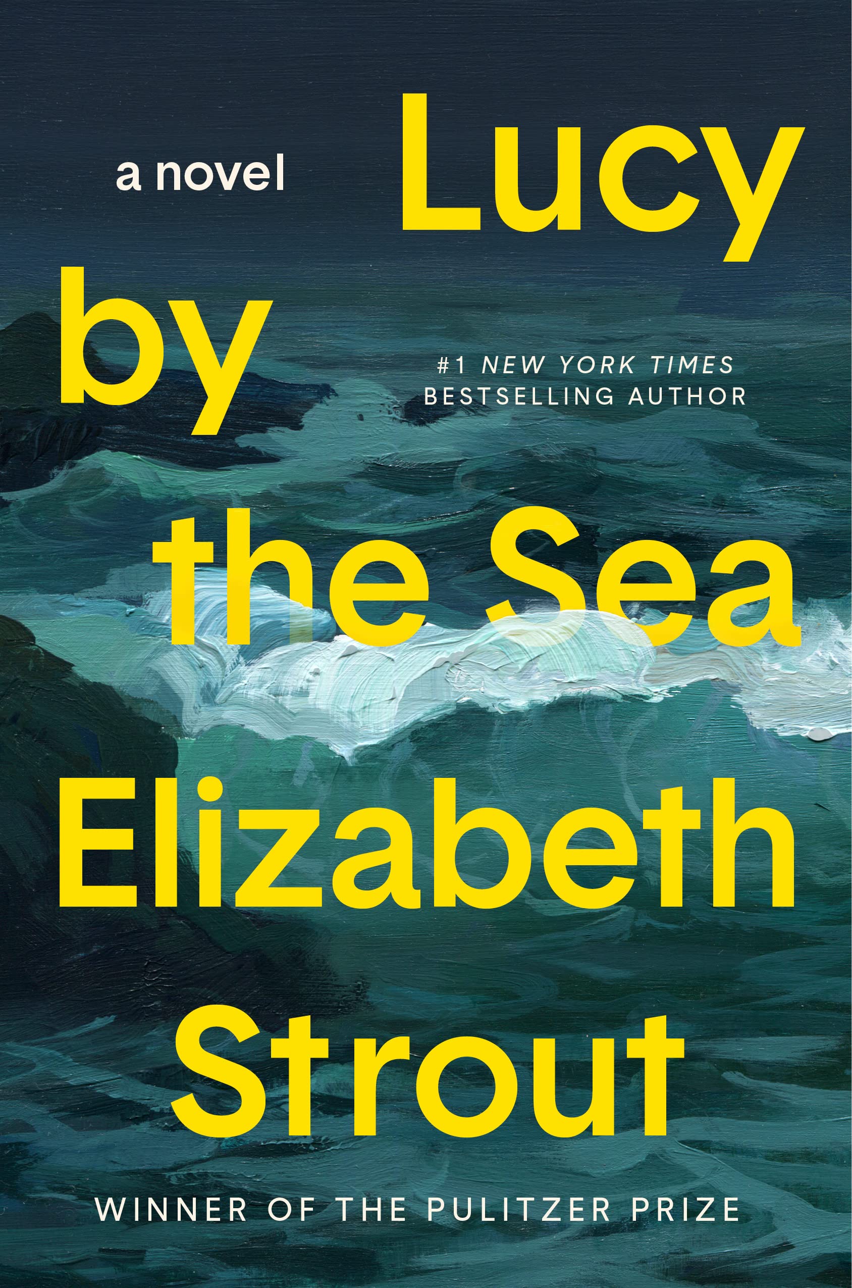 ebook download Lucy by the Sea (Amgash, #4)