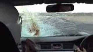 Bird crashes into windscreen at 180 mph