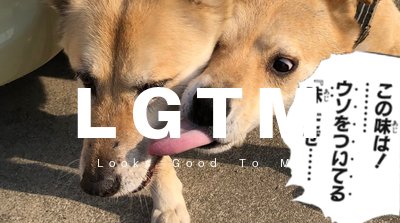 LGTM