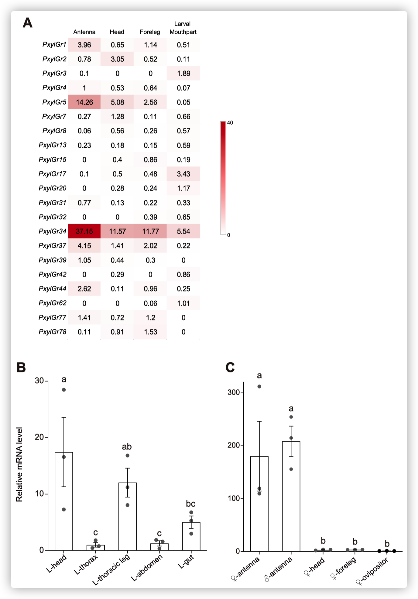 Tissue expression pattern of gustatory receptors (GRs) in Plutella xylostella as determined by Illumina read-mapping and qPCR analysis.