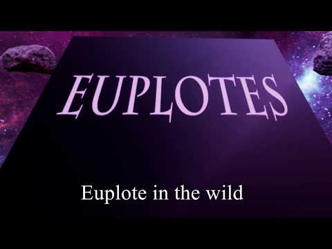 Introduction video