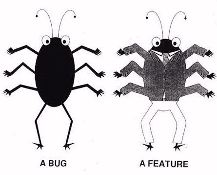 bug vs feature