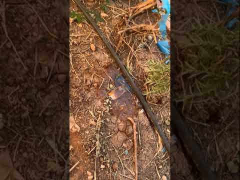 Watering System Using H4Plugins