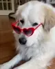 Dog Heart Sunglasses GIF by MOODMAN via giphy.com