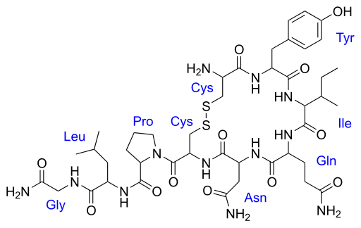 Oxytocin