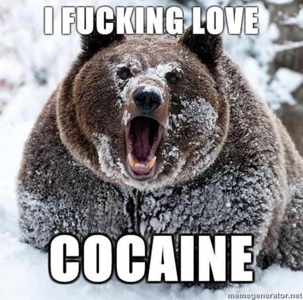 http://i2.kym-cdn.com/photos/images/facebook/000/103/256/i-fucking-love-cocaine.jpg