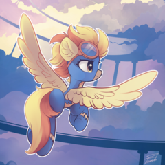 pony image