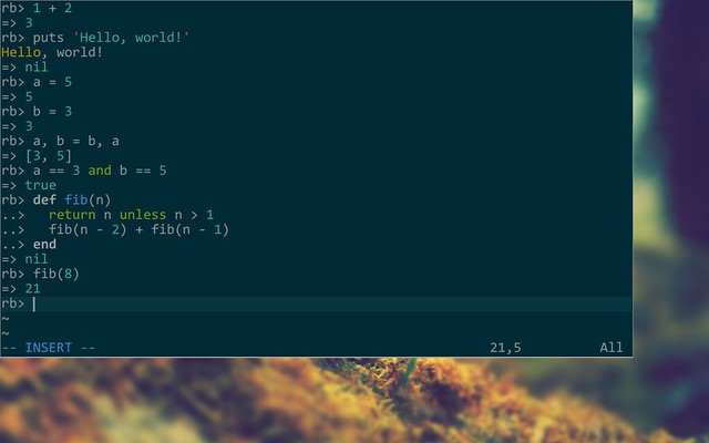 GitHub - Bogdanp/rbrepl.vim: VIM plugin that allows you to run a Ruby ...