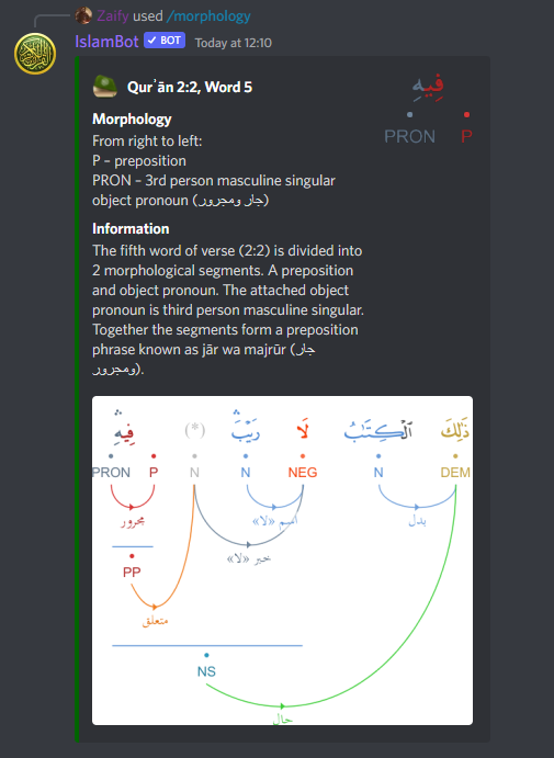 Morphology