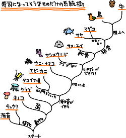 Amazon.com: 分子進化と分子系統学: 9784563078010: Masatoshi