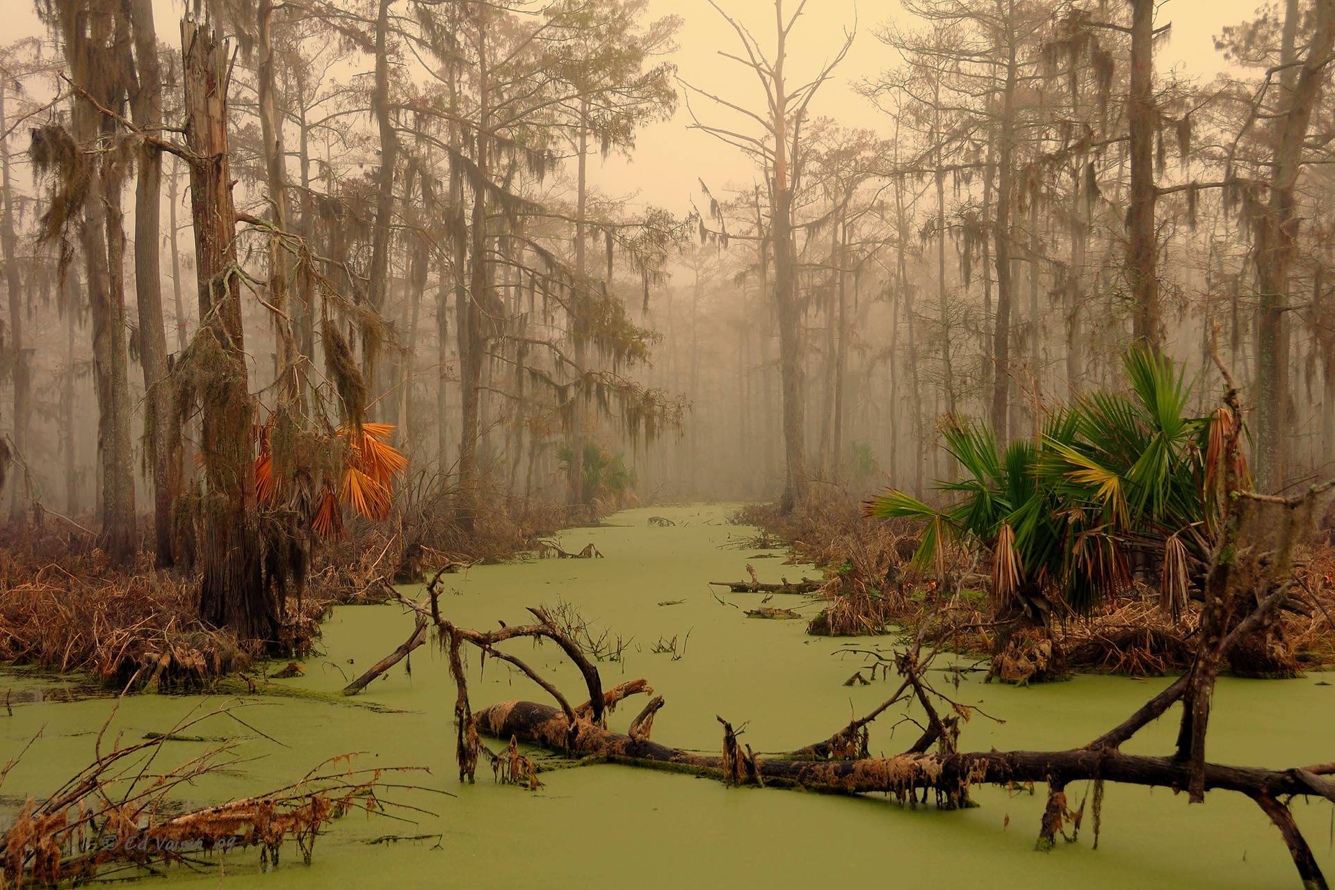 Louisiana