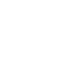 Default Gear Icon