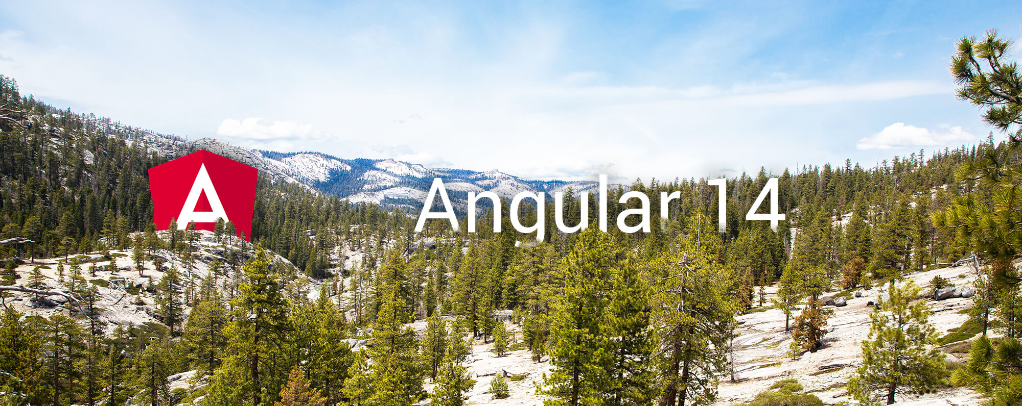 Angular 14 teaser