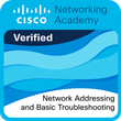 Network Addressing and Basic Troubleshooting