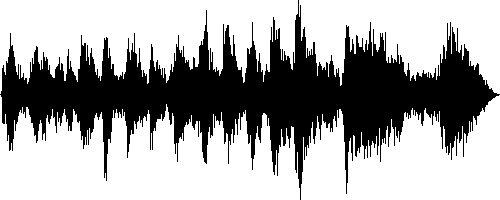 Black on white waveform image