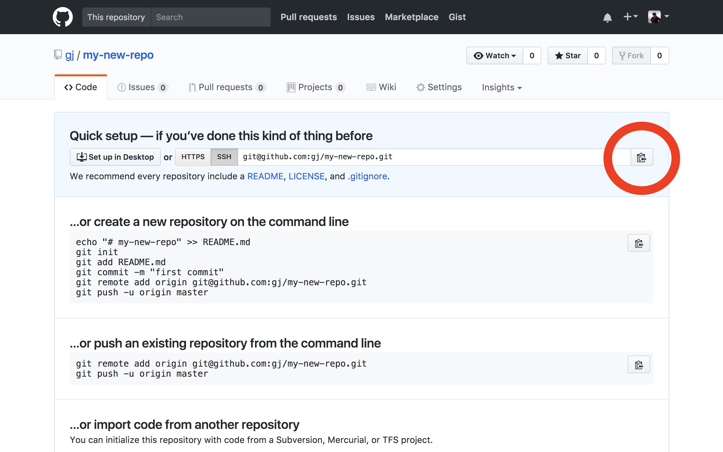 github repo quick setup