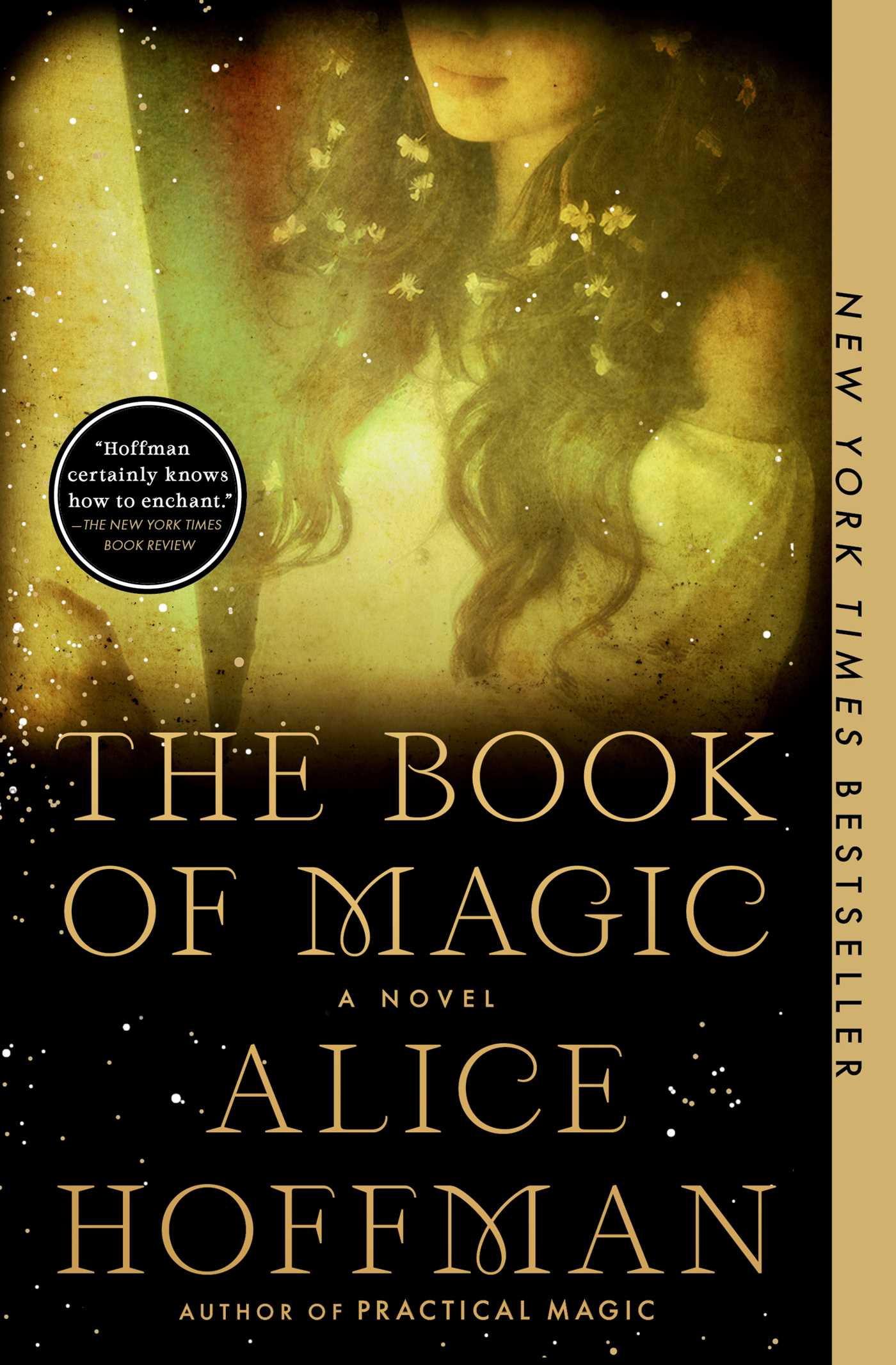ebook download The Book of Magic (Practical Magic, #2)