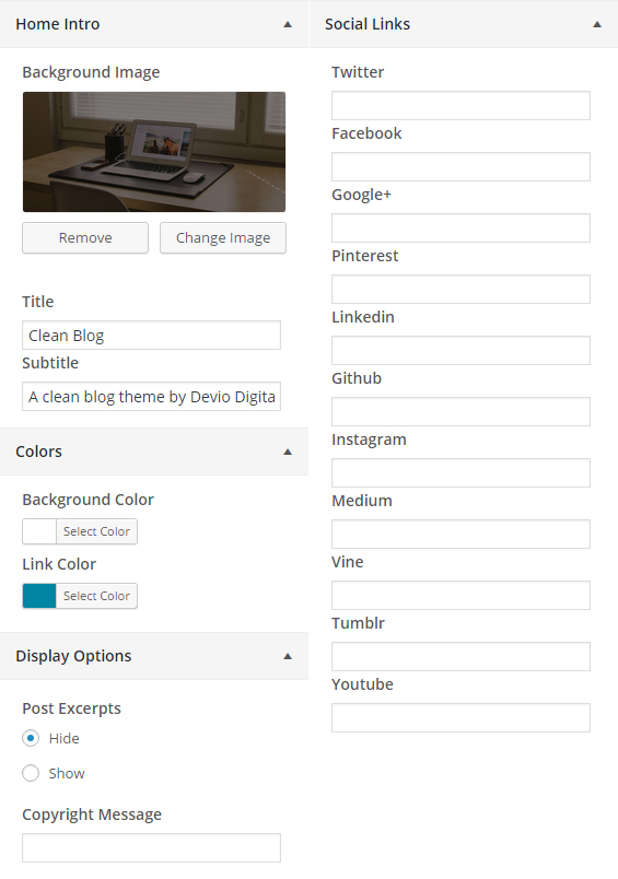 Theme Customizer options