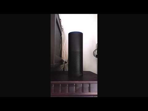 Alexa Skill in Aktion