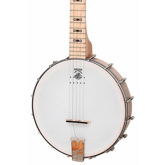 deering-goodtime-acoustic-electric-5-string-banjo-1