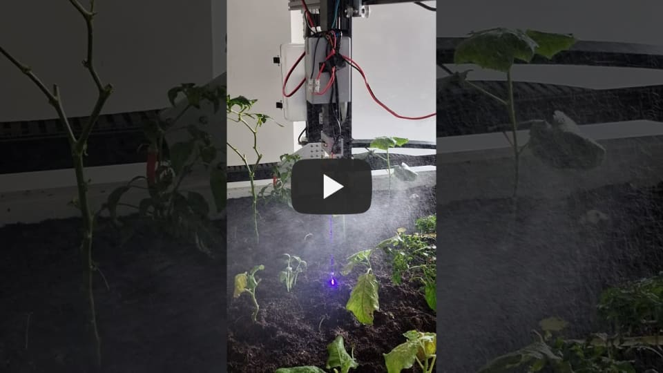 Plant Test 3 + Water