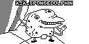 SPONGEDOLPHIN