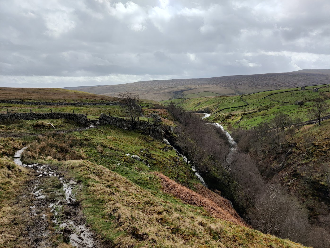 dales valley