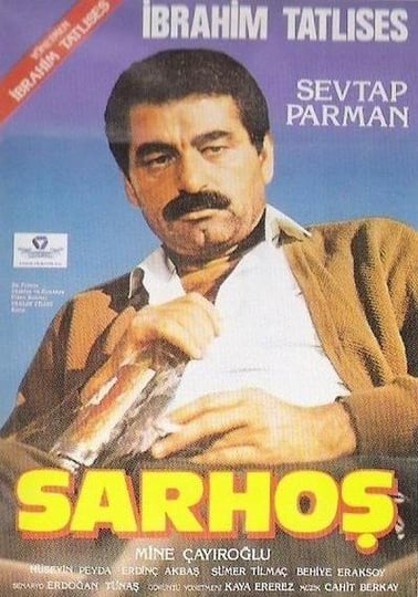 sarhos-6588340-1