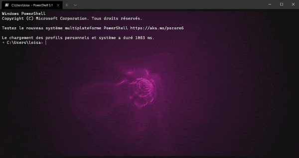 GitHub - raubee/Terminal-Shaders: Custom pixel shaders for Windows Terminal