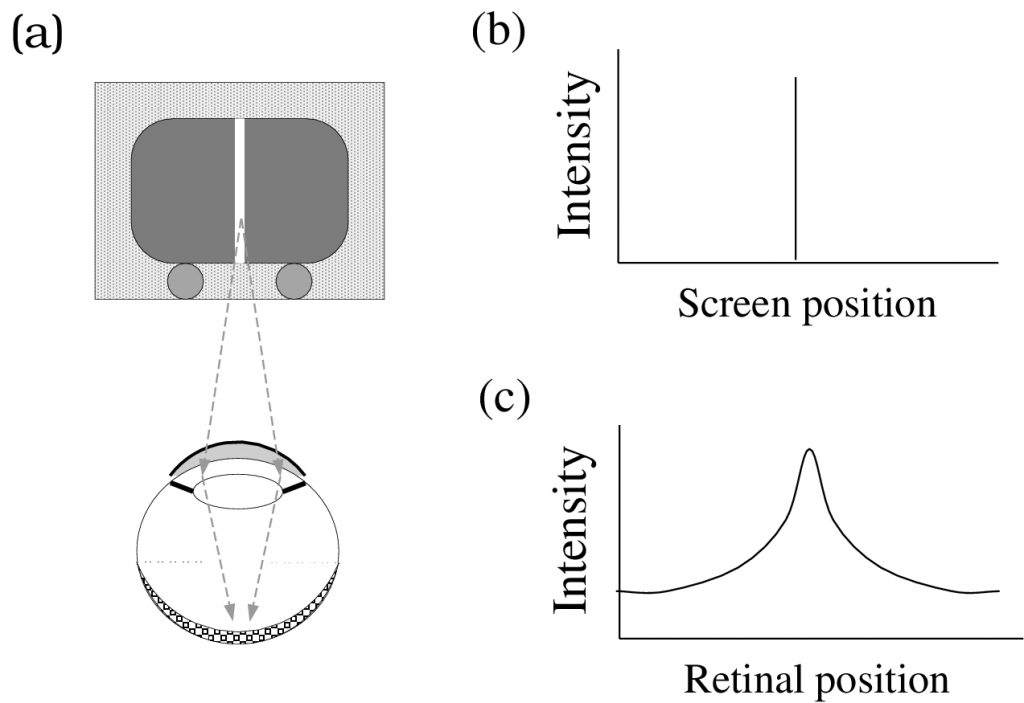 Retinal Image Formation