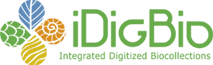 iDigBio