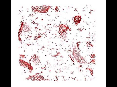 Nucleation of carbon nanoparticles from hot vapor simulation with ANI-1 deep learning potential