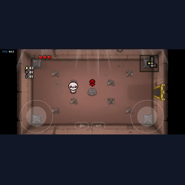 The Binding of Isaac game image