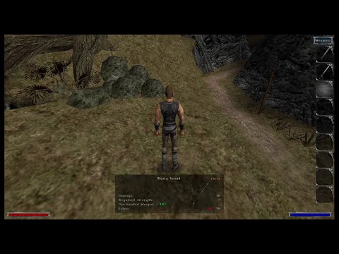 G12 Custom item description