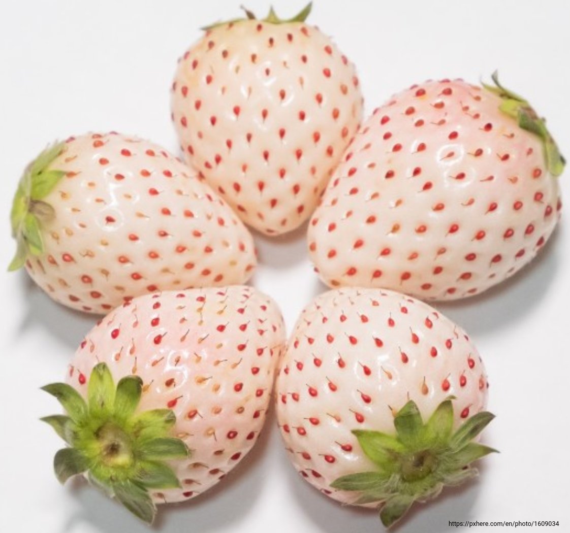 Pink strawberries (80)