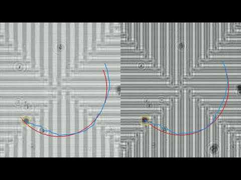 Visual tracking for DEP manipulation