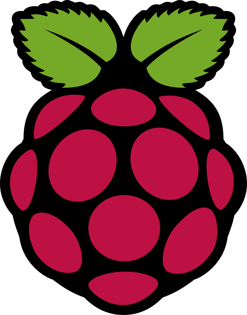 Raspberry Pi