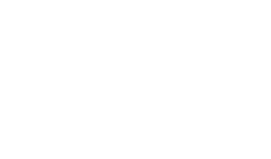 Pontim Logo