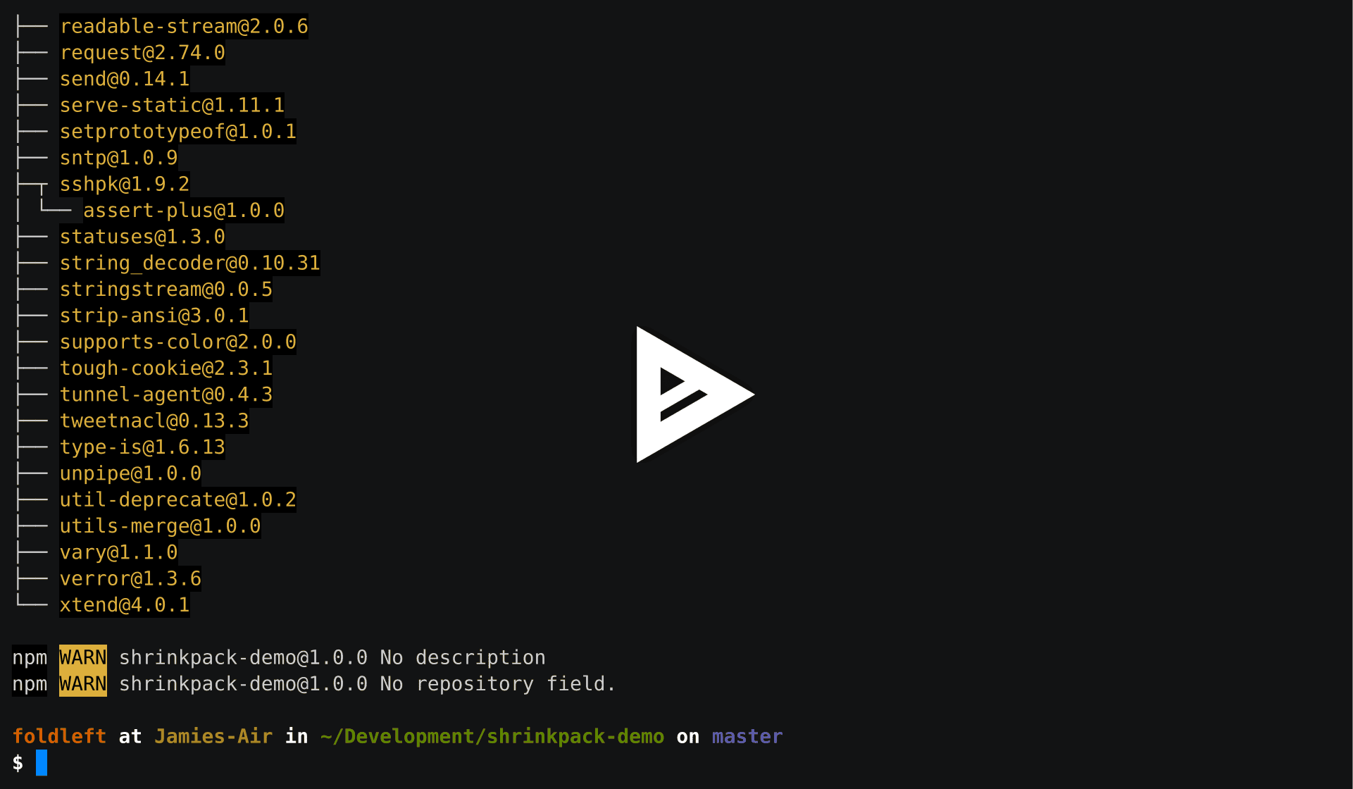 asciicast